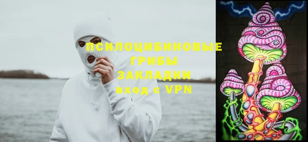 прущие крисы Алексеевка