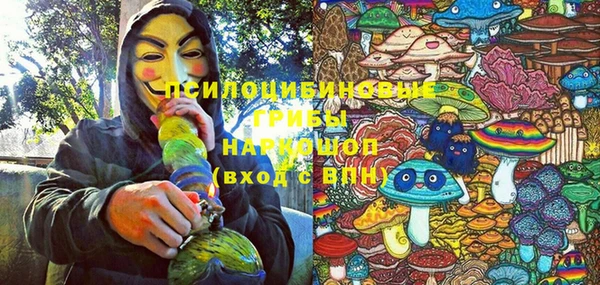 круглые Алзамай