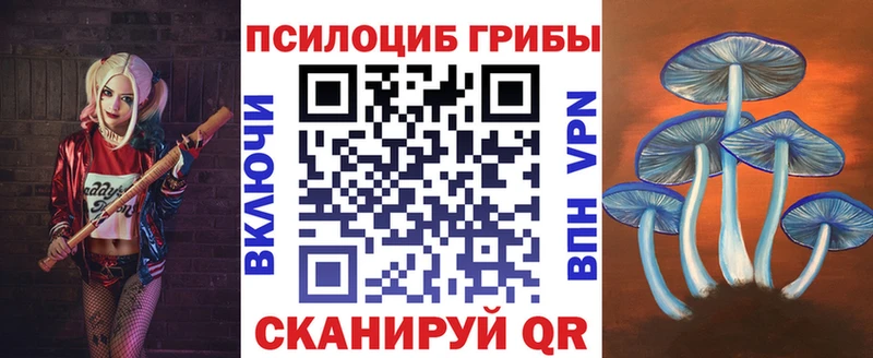 Псилоцибиновые грибы Cubensis  закладки  Удачный 
